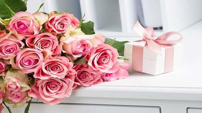 Webp.net-resizeimage (52)