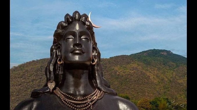 shiv