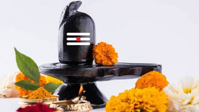 6-types-of-leaves-offered-to-Lord-Shiva-that-will-yield-desirable-results