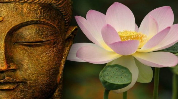 resize-1591718960160344585fengshuidayspa